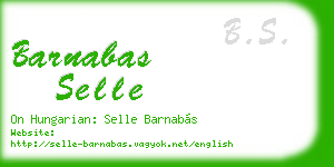 barnabas selle business card